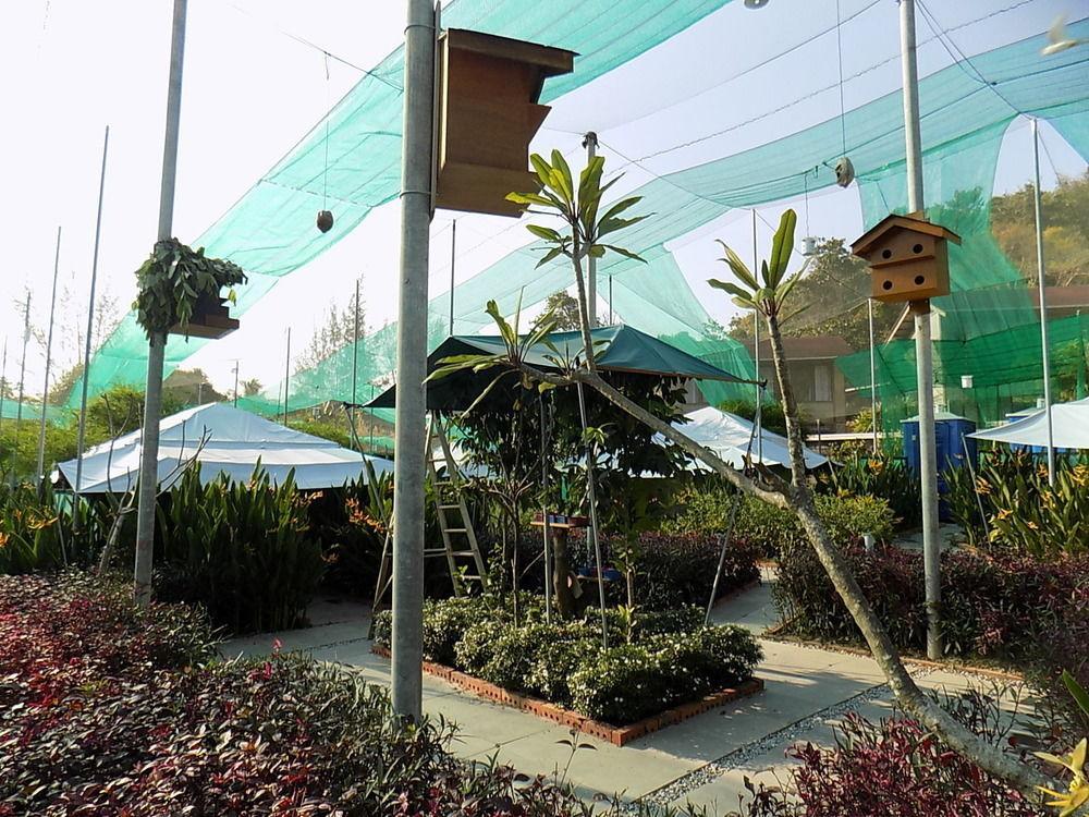 T Star Cottage Langkawi Pantai Cenang  Exterior photo