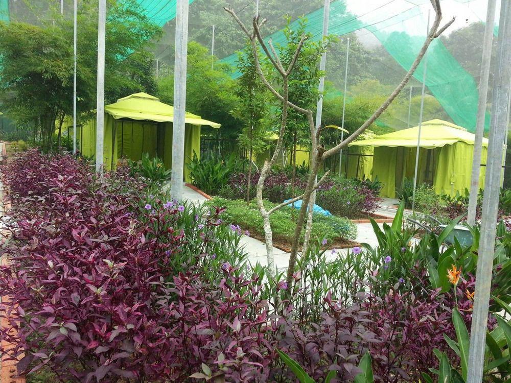 T Star Cottage Langkawi Pantai Cenang  Exterior photo