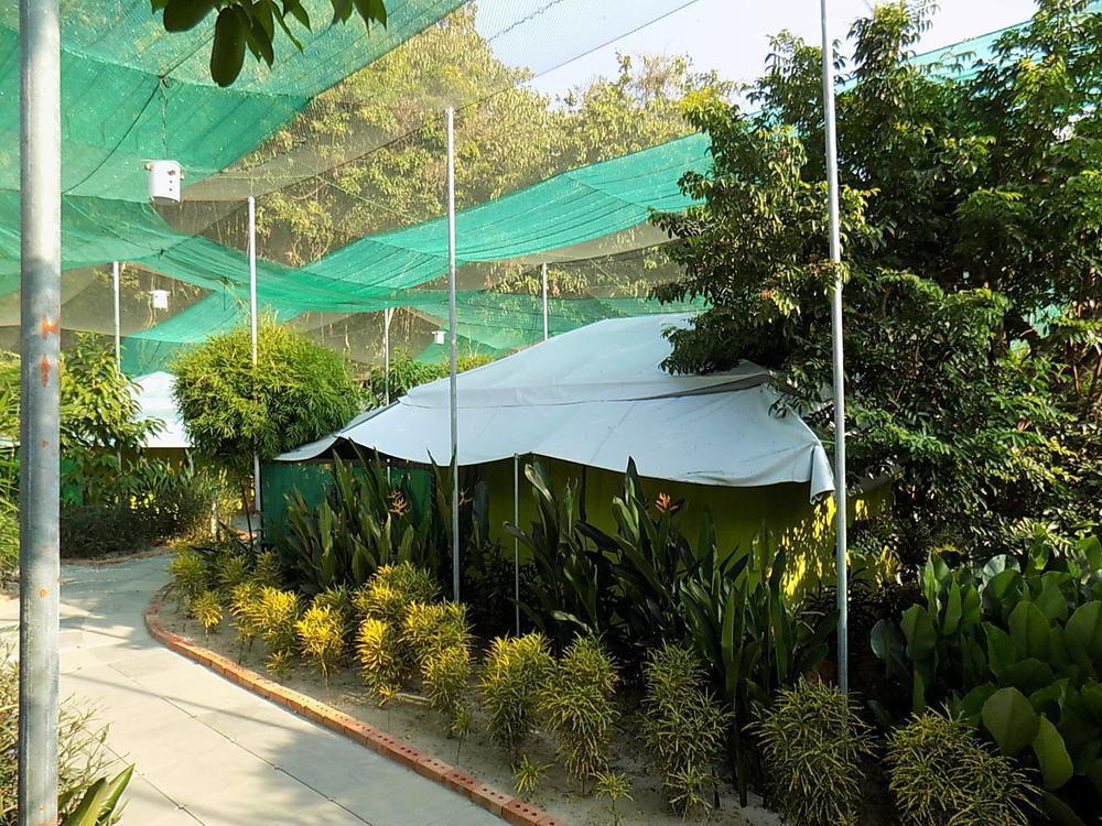 T Star Cottage Langkawi Pantai Cenang  Exterior photo